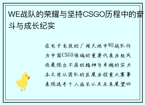WE战队的荣耀与坚持CSGO历程中的奋斗与成长纪实